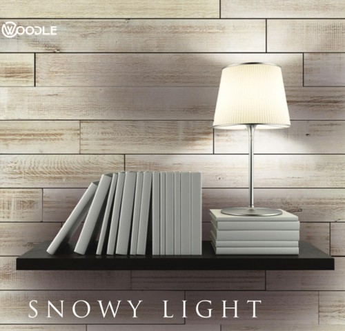 SNOWY LIGHT 1