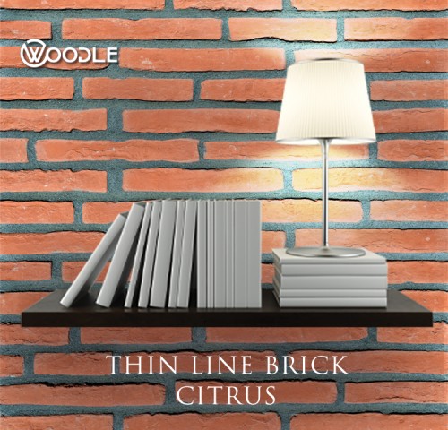 THIN LINE BRICK CITRUS 1