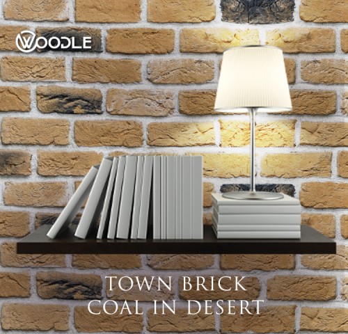 TOWN BRICK COAL IN DESERT 1